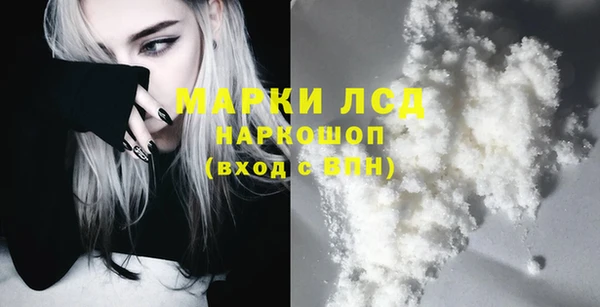 шишки Горно-Алтайск