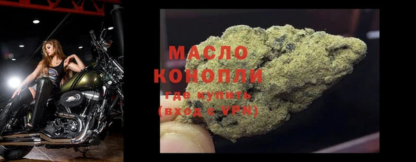 шишки Горно-Алтайск