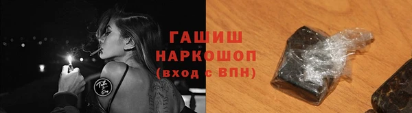 шишки Горно-Алтайск