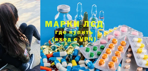 шишки Горно-Алтайск