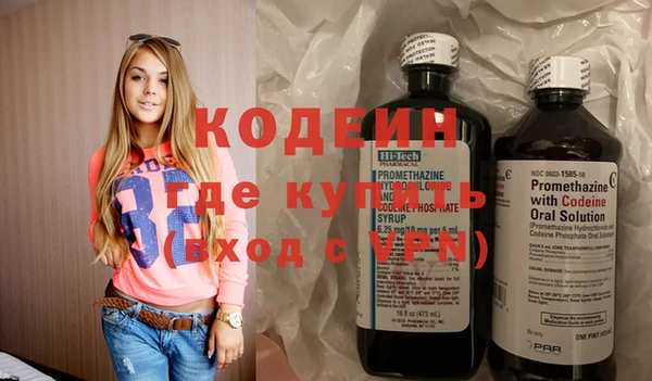 шишки Горно-Алтайск