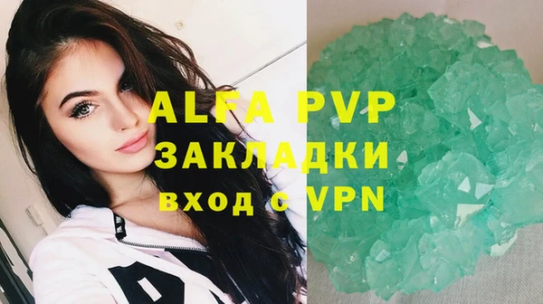 шишки Горно-Алтайск