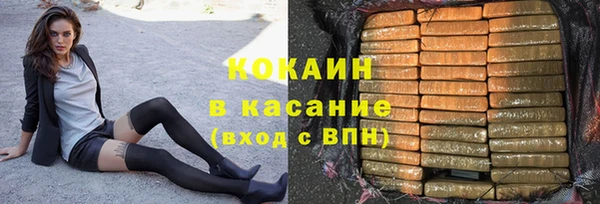 шишки Горно-Алтайск