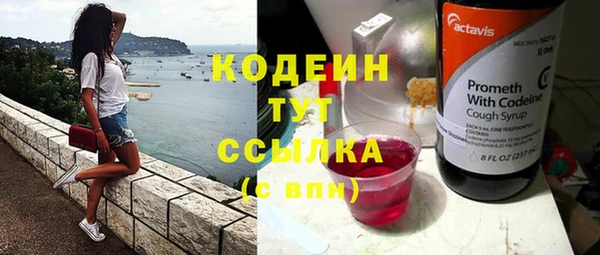 шишки Горно-Алтайск